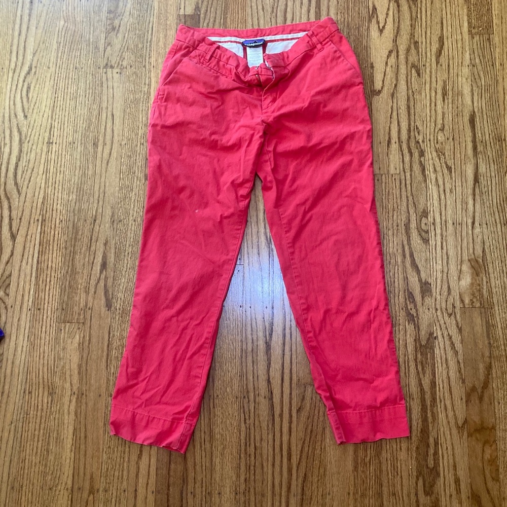 Patagonia Pants